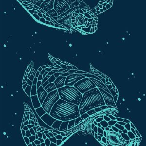 Πετσέτα Θαλάσσης Βελουτέ Ζακάρ Αιγυπτιακή 420 gsm 234 87X165 100% Cotton