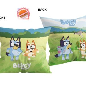 Βελούδινο Μαξιλάρι BBC Studios Bluey 09 38X38 Green 100% Velboa